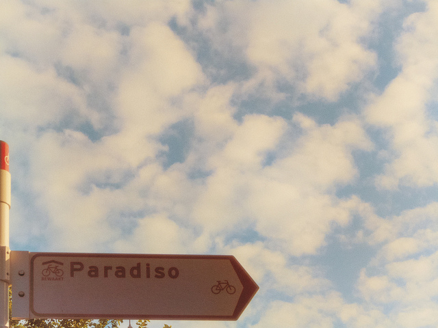 paradise-lost-by-august-brill