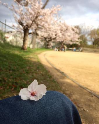 spring warmth brings on